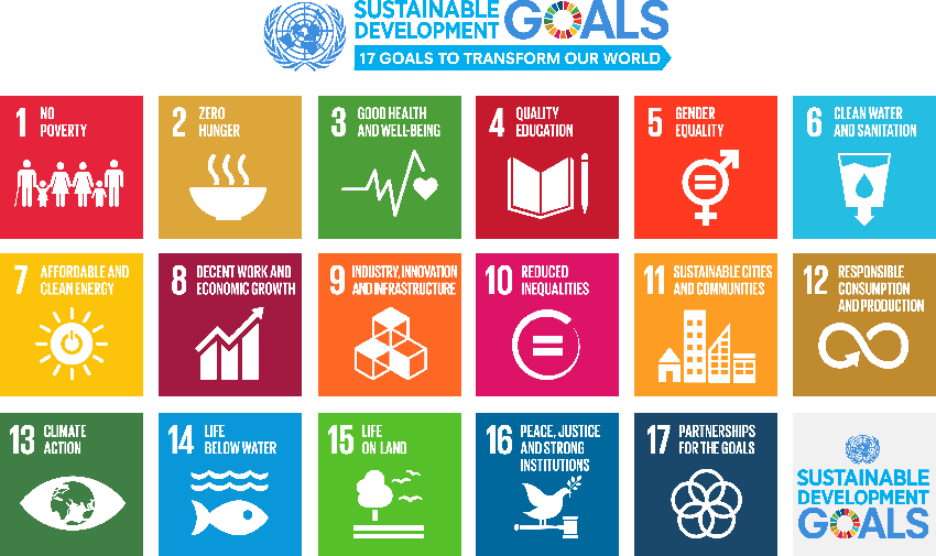 The United Nations Sustainable Development Goals (graphic)